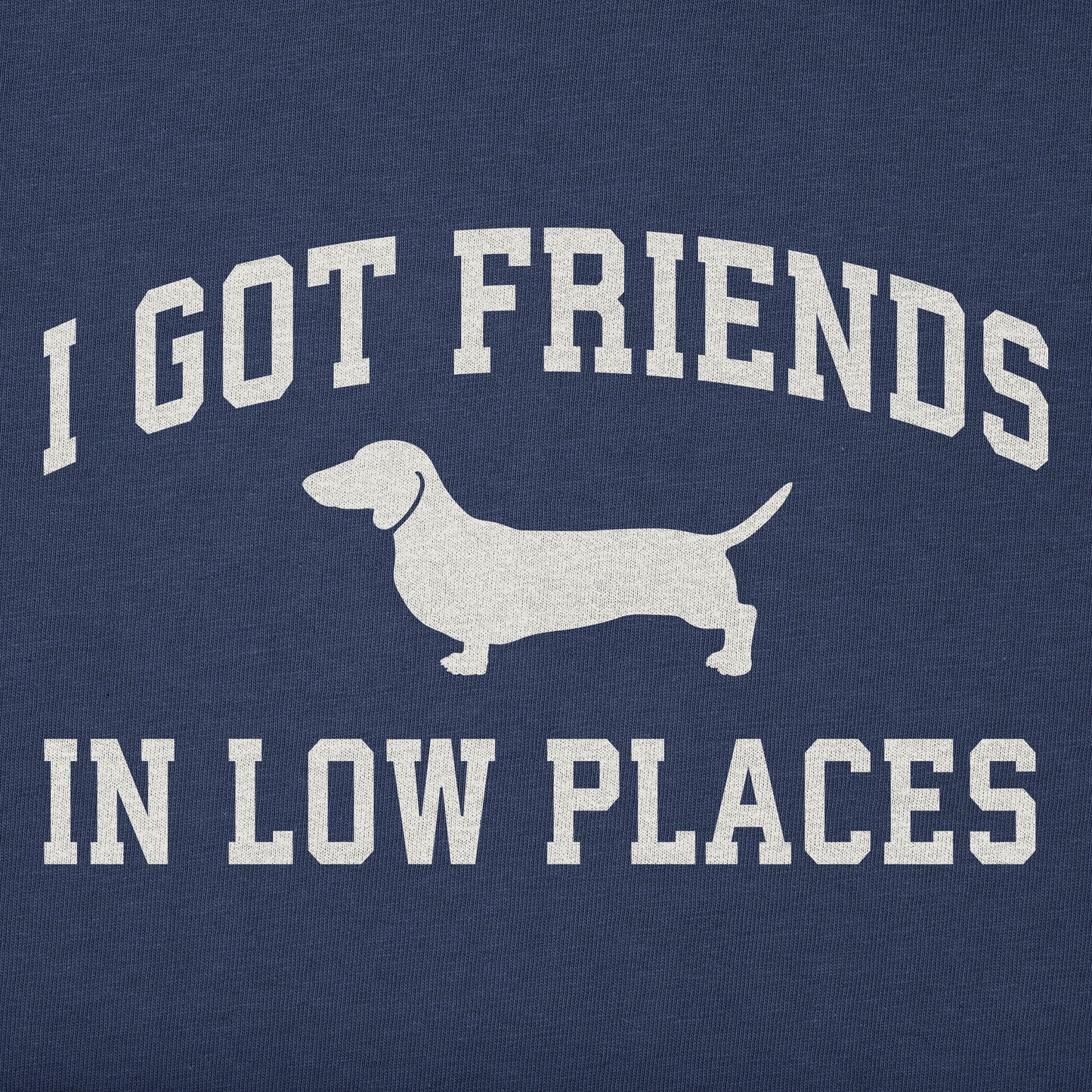 Women's I Got Friends Arch Simply True Fleece Crew