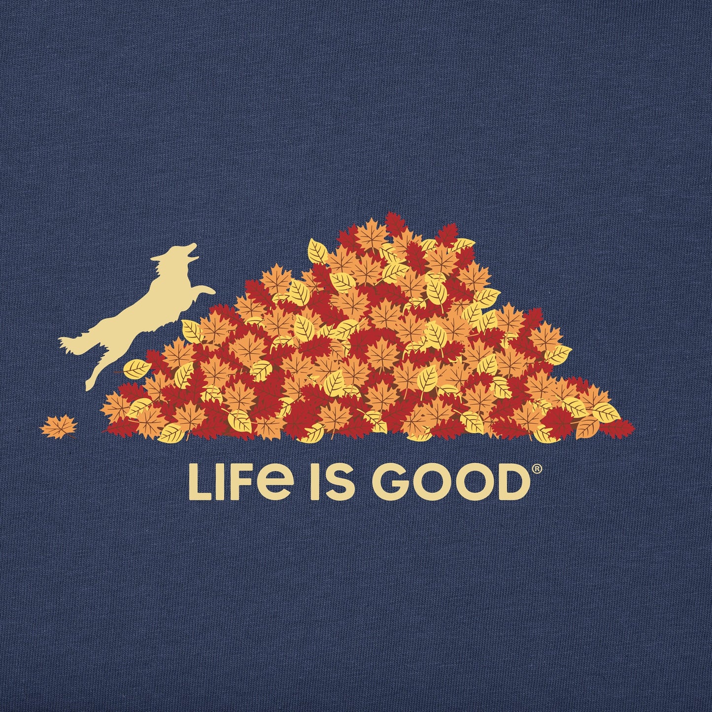 Men's LEAF JUMP Long Sleeve Crusher Tee