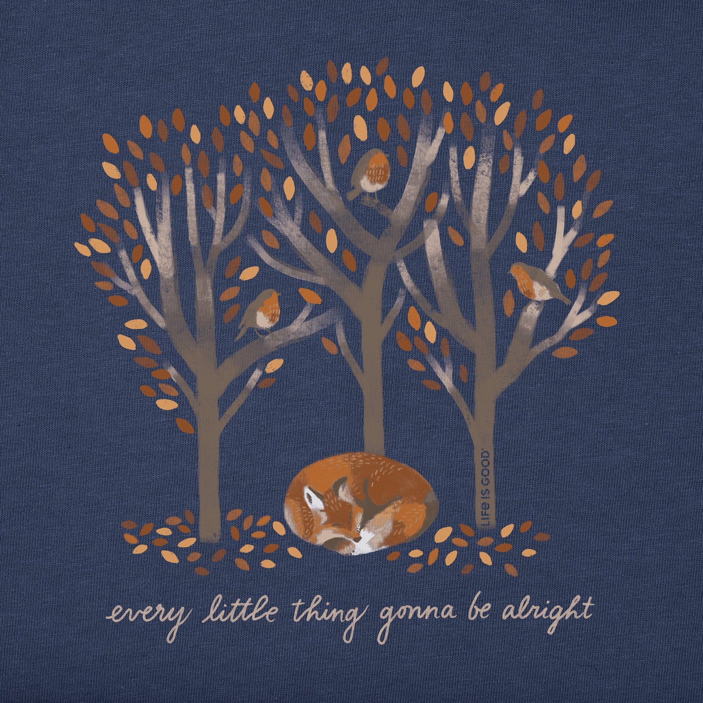 Women's Every Little Thing Fox Short Sleeve Tee