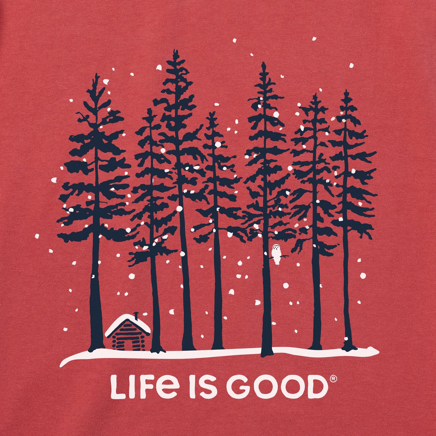 Women's Snowy Owl Tall Pines Short Sleeve Crusher Vee