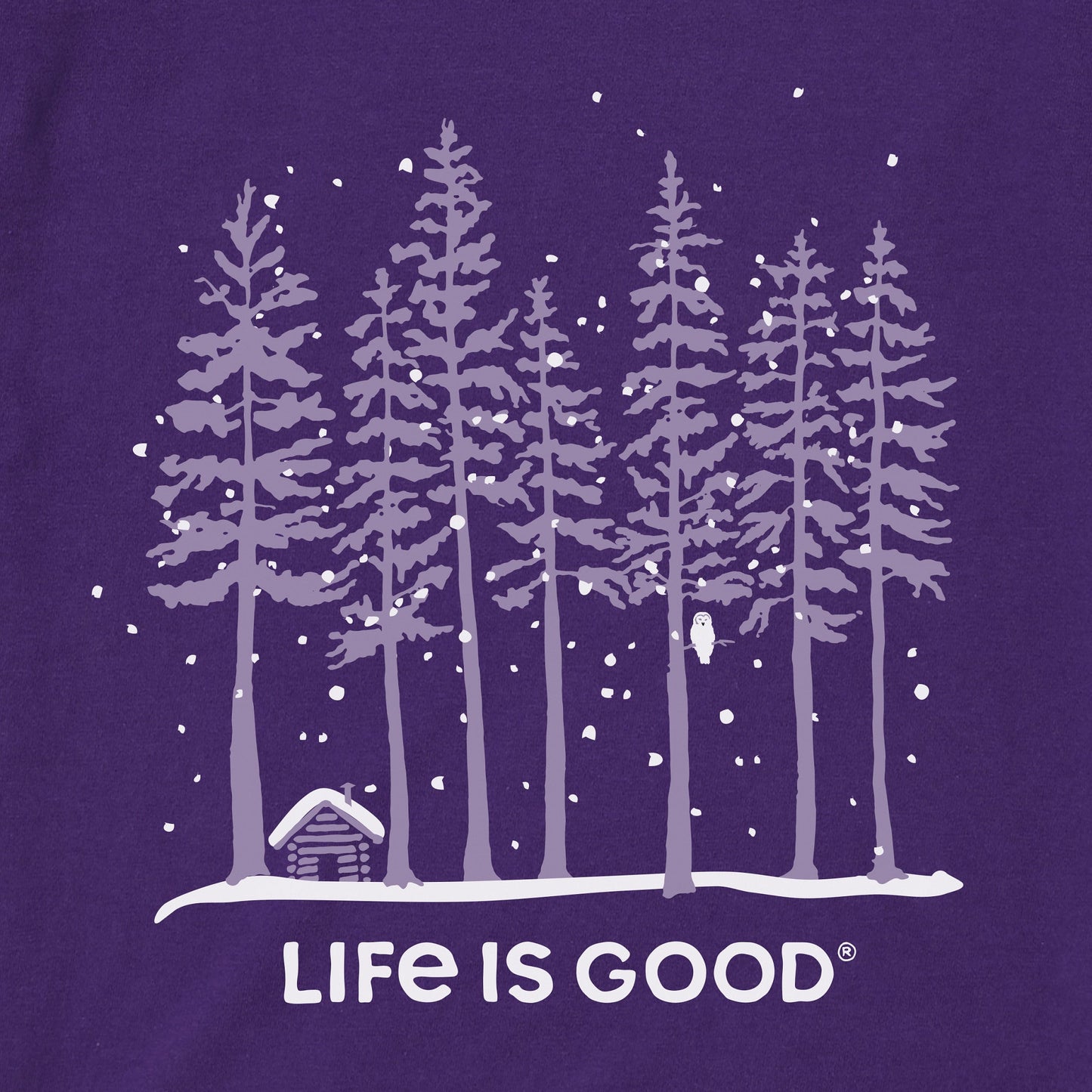 Women's Snowy Owl Tall Pines Long Sleeve Crusher Tee