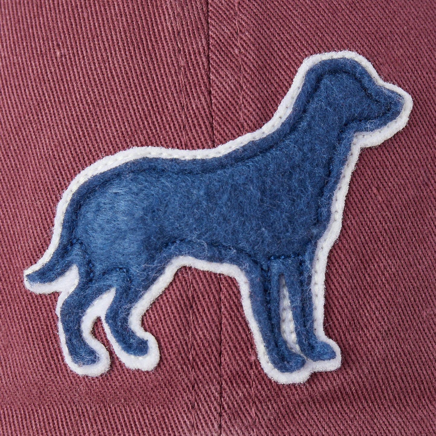 Adult Unisex Stay True Dog Chill Cap