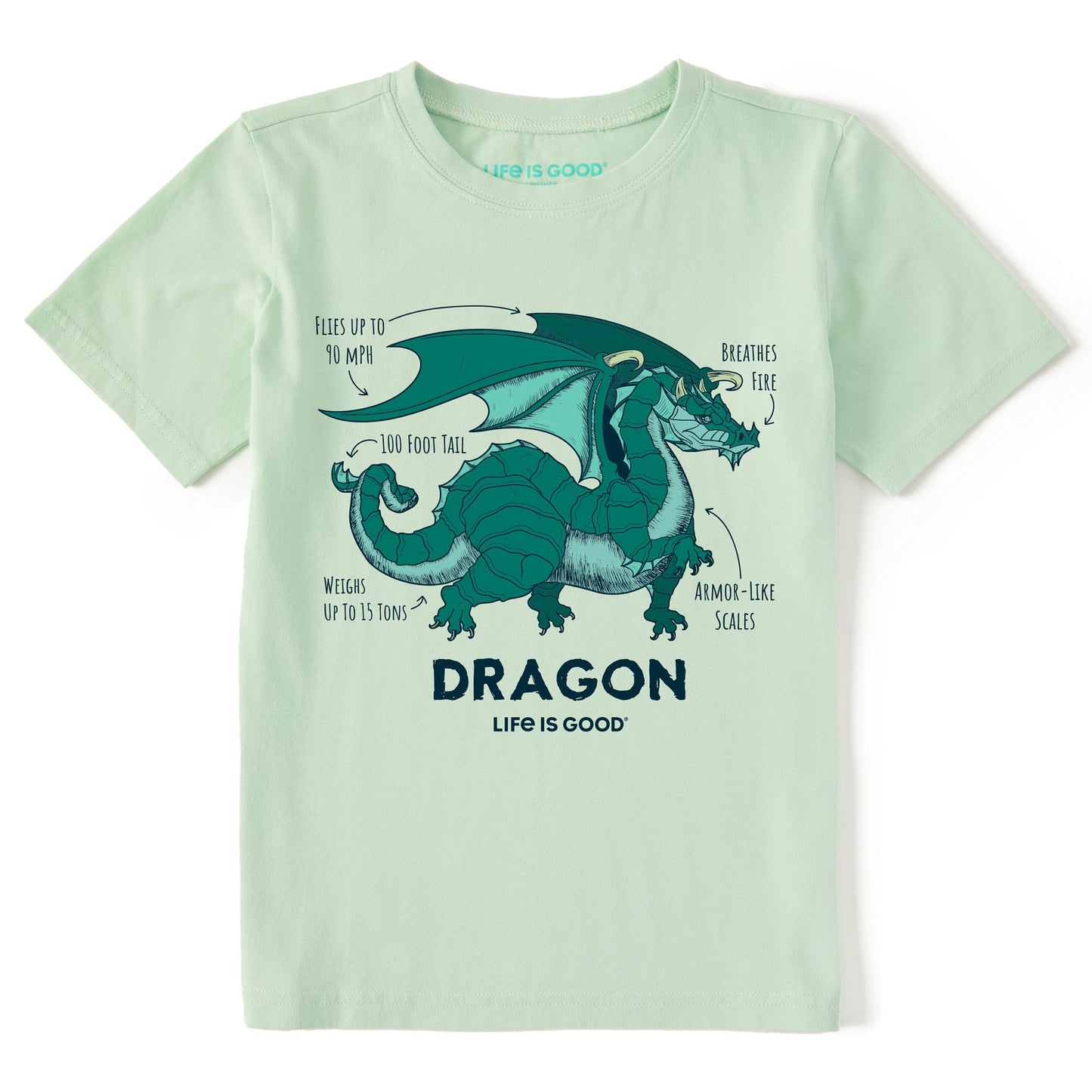 Kids Dragon Facts Short Sleeve Crusher Tee