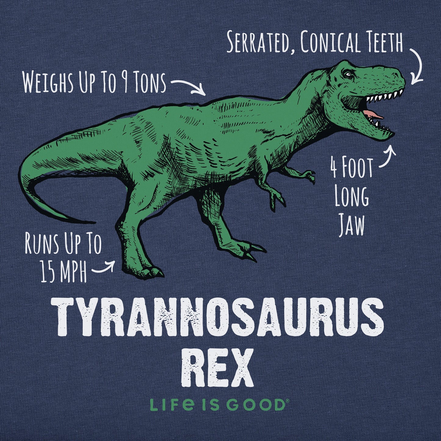 Kids Tyrannosaurus Rex Short Sleeve Crusher Tee