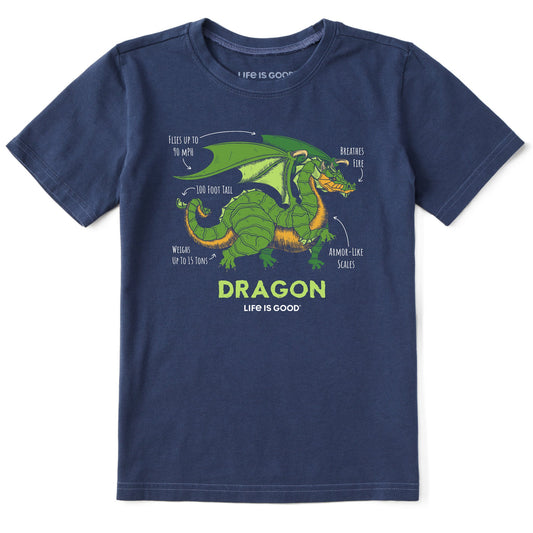 Kids Dragon Facts Short Sleeve Crusher Tee