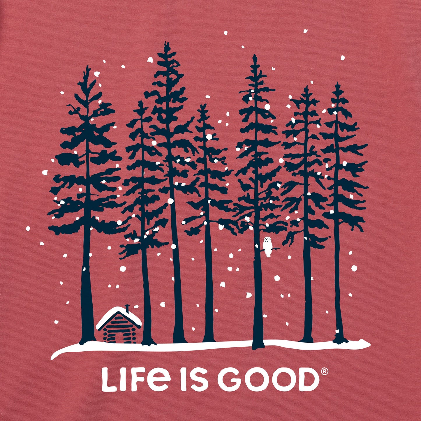 Women's Snowy Owl Tall Pines Short Sleeve Crusher Tee