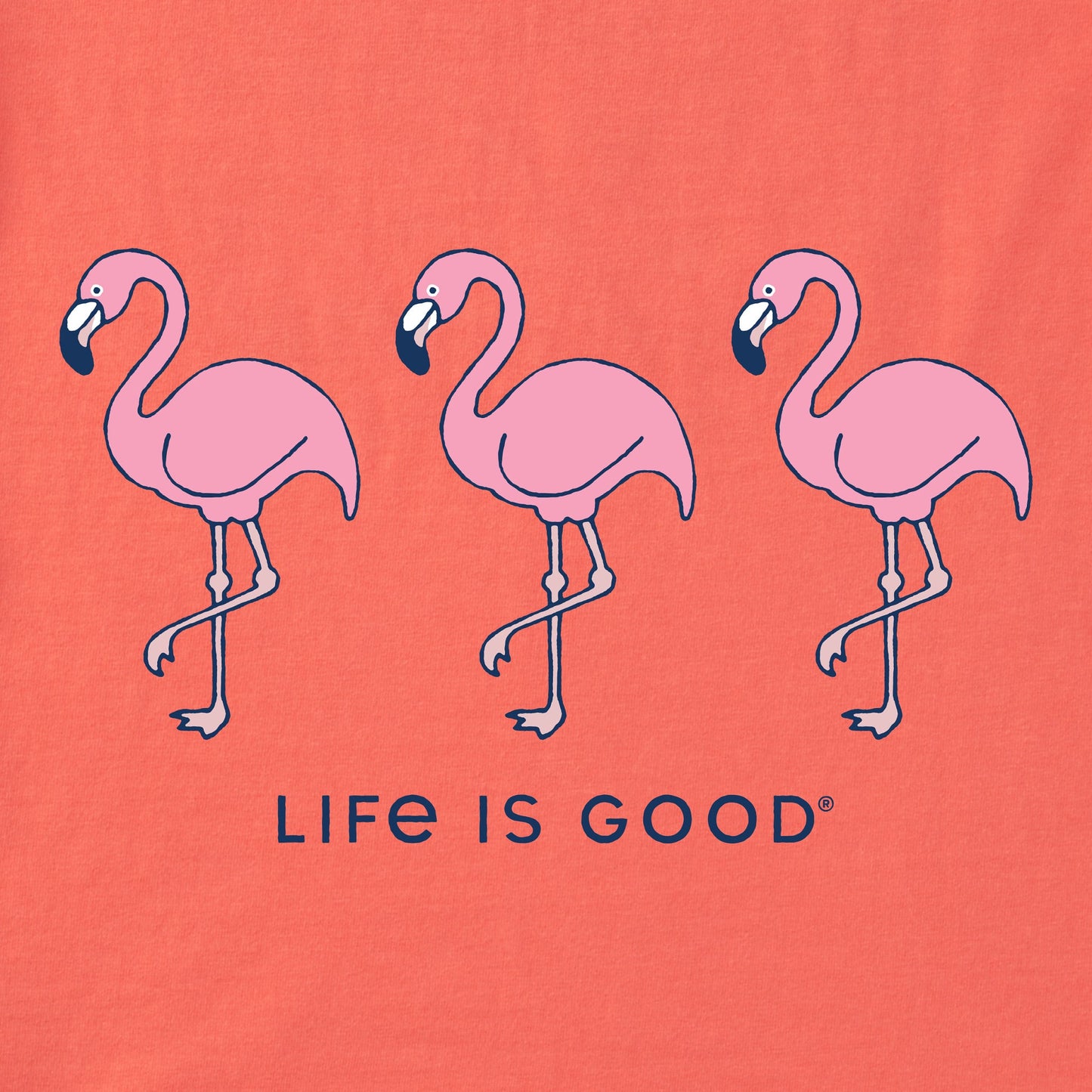 Women's Three Flamingos Short Sleeve Tee