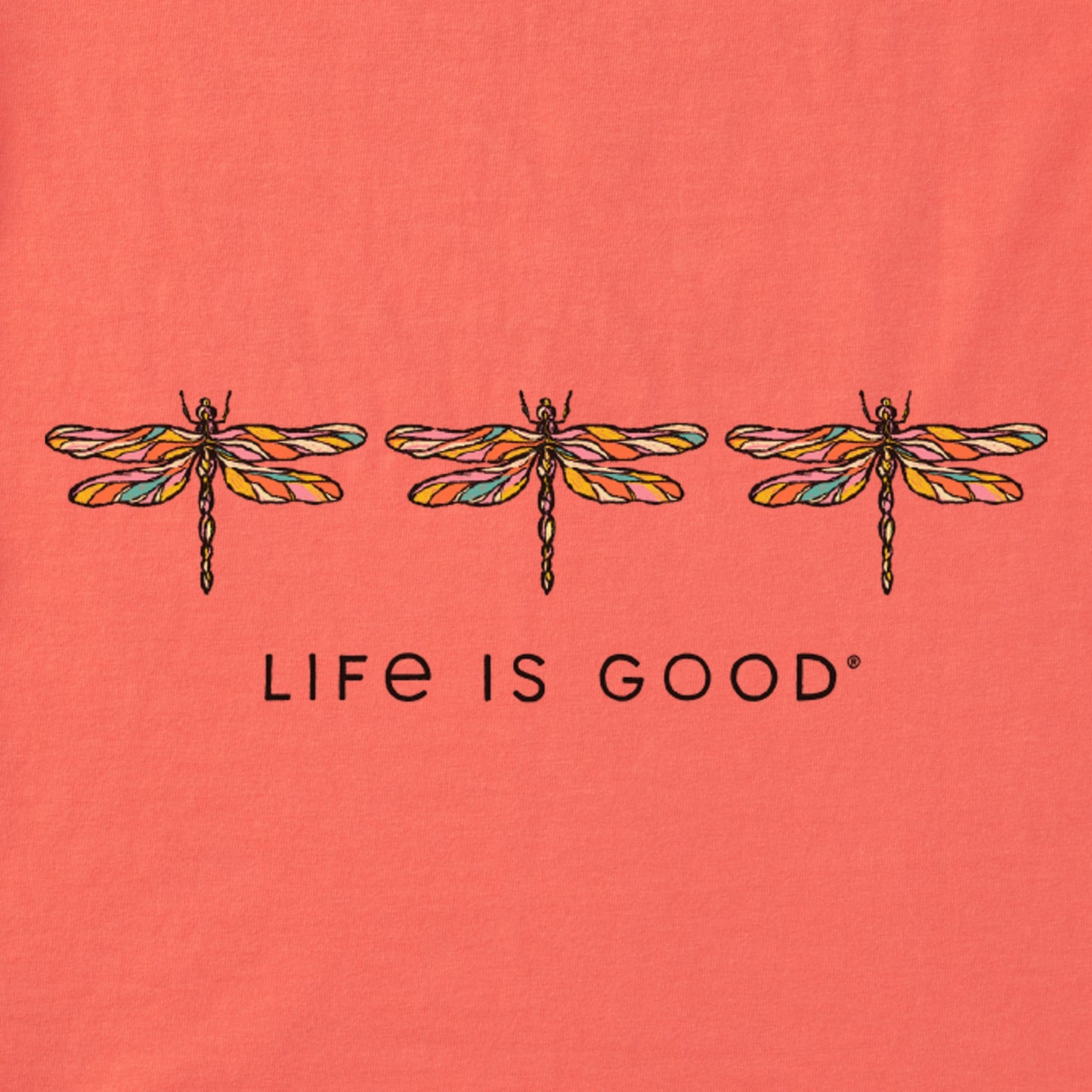 Women's Three Sketchy Dragonflies Short Sleeve Vee