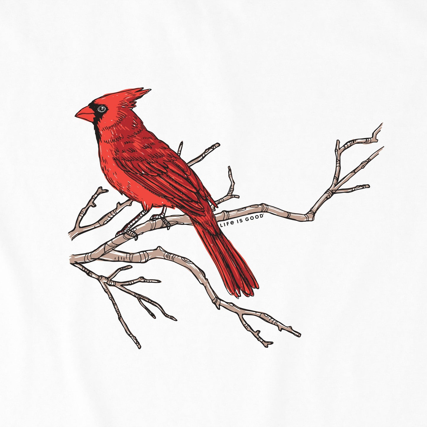 Women's Cardinals Appear Branch Short Sleeve Vee