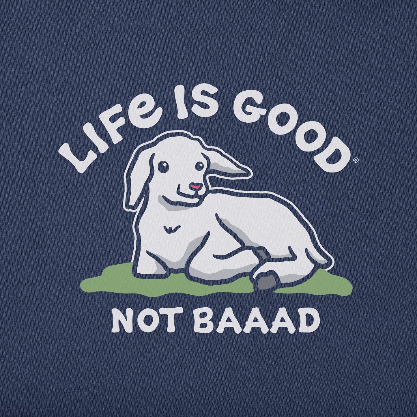 Kids Not Baaad Baby Goat Short Sleeve Crusher Tee