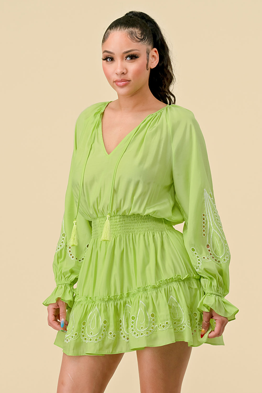 V Neck Long Sleeve Mini Dress