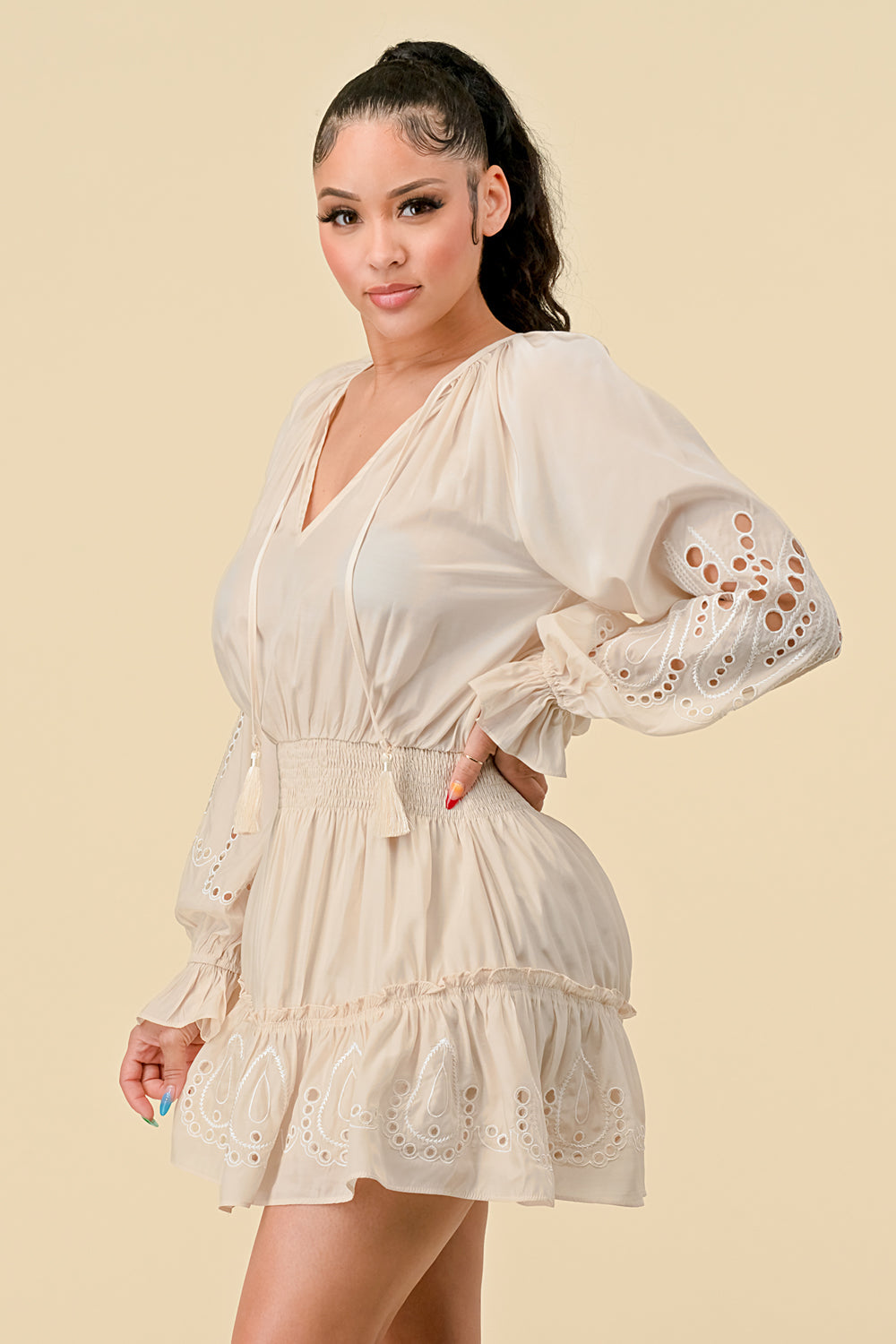 V Neck Long Sleeve Mini Dress